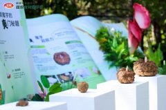 《我国魔芋食物财产成长的察看取研究》：卫龙